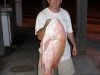 big-mutton